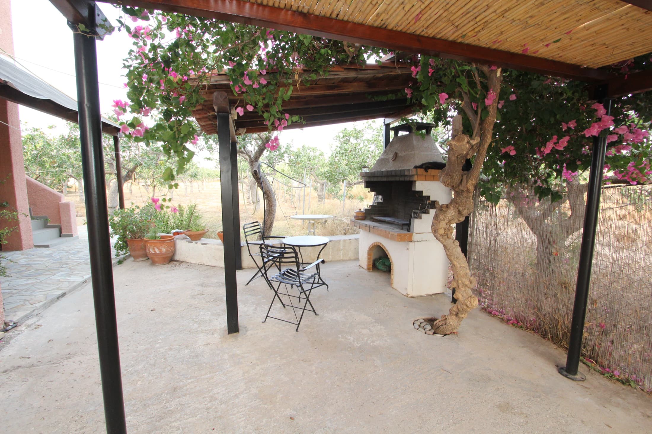 Covered terrace at Fistiki House draped in bougainvillea, overlooking the pistachio grove
