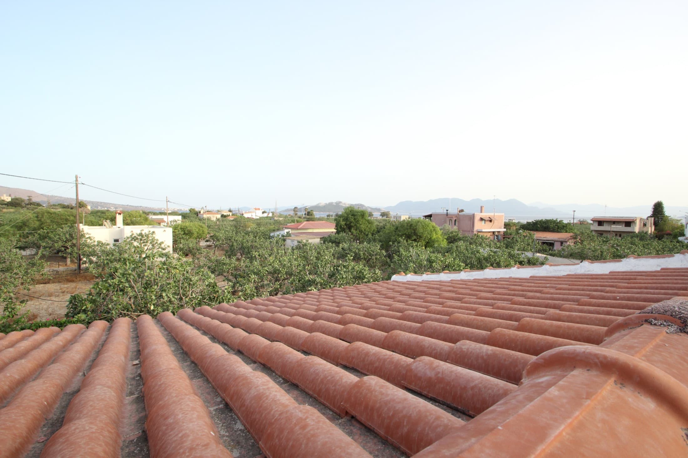 View over the pistachio groves to the mountains from Fistiki Studio